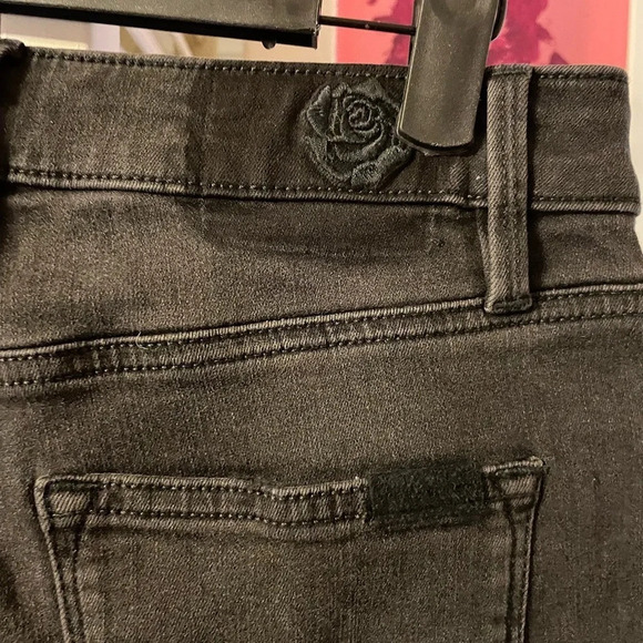 NWT SANCTUARY SAIGE CURVY SKINNY JEANS - Picture 7 of 7